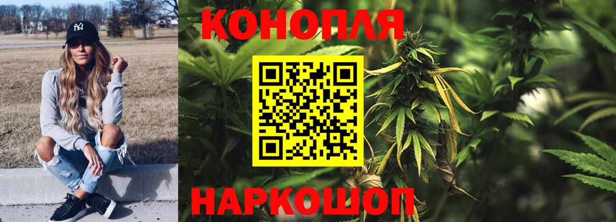 Бошки Шишки ГИДРОПОН  Конопля Bruce Banner  Вход с VPN  Гусь-Хрустальный  Конопля AK-47 